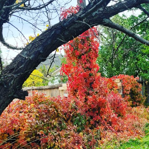 150 W 300 S, Parowan, UT 84761