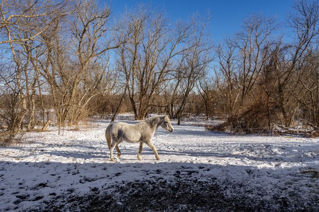 11447 S County K Road, Beloit, WI 53511