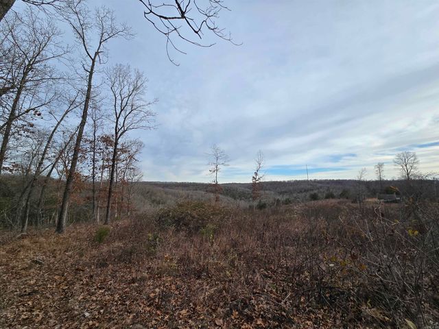 367 Bent Oak LN, Midway, AR 72651