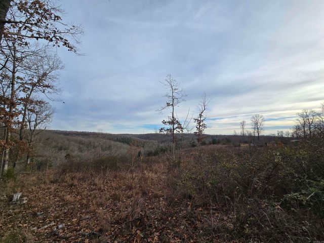 367 Bent Oak LN, Midway, AR 72651