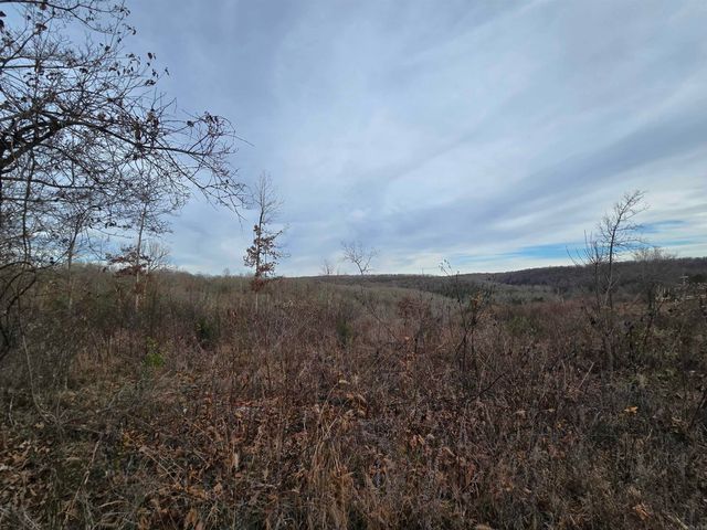 367 Bent Oak LN, Midway, AR 72651