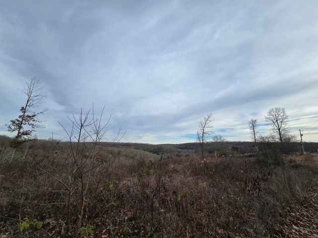 367 Bent Oak LN, Midway, AR 72651