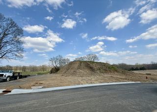 516 Jenna Ln, Arrington, TN 37014