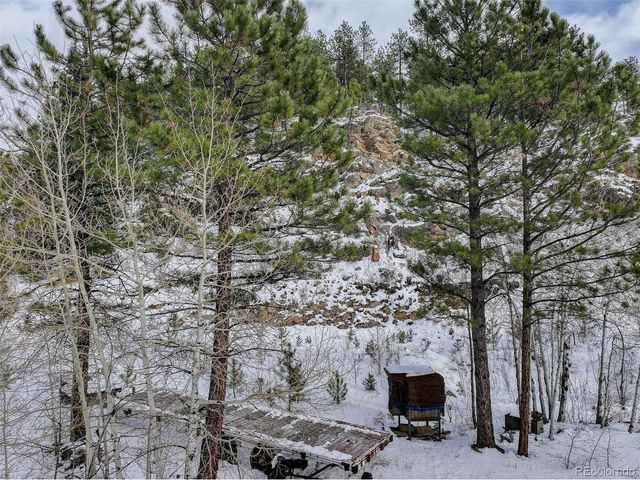 400 Crow Valley Rd, Bailey, CO 80421