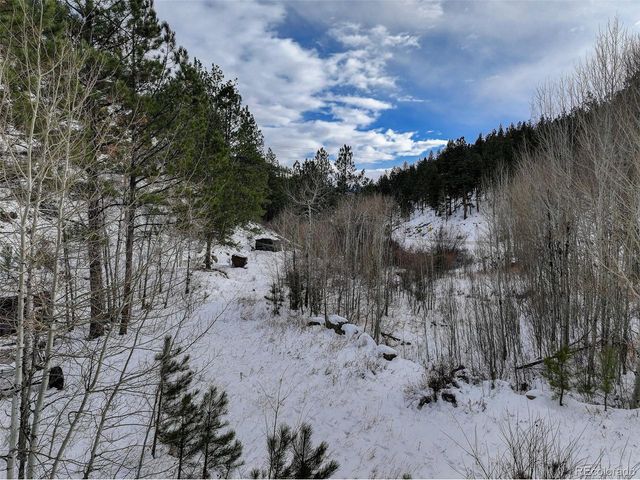 400 Crow Valley Rd, Bailey, CO 80421