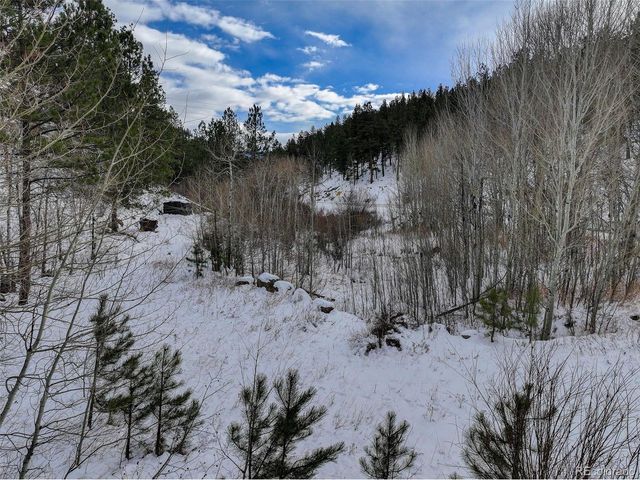 400 Crow Valley Rd, Bailey, CO 80421