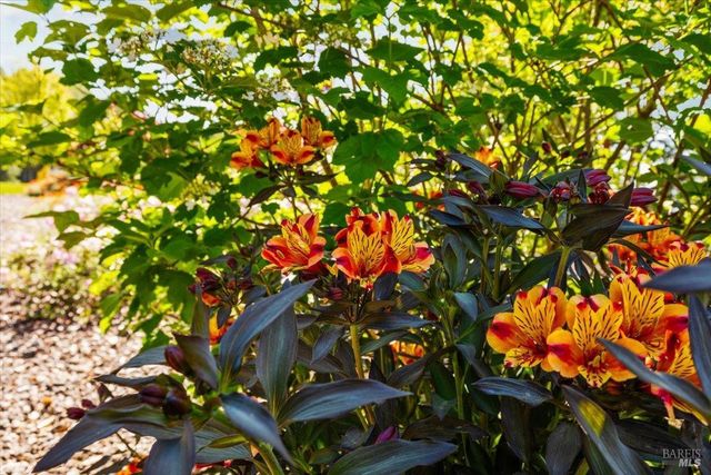 100 Zachary Ln, Santa Rosa, CA 95404