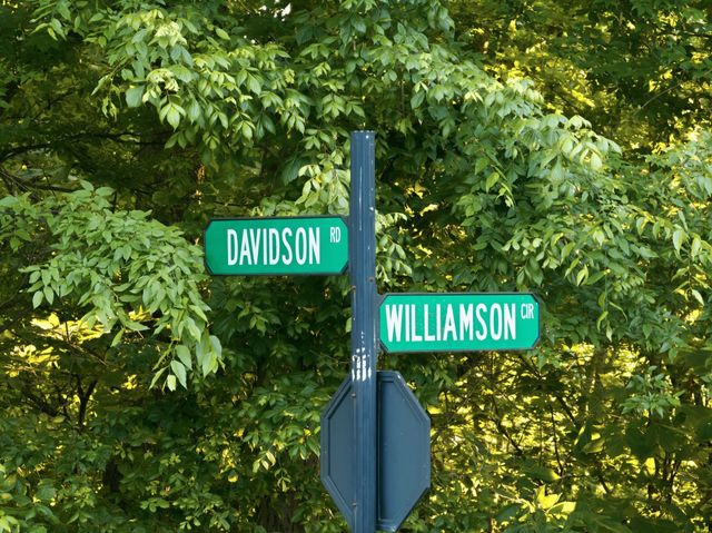 0 Davidson Road, Smithville, TN 37166