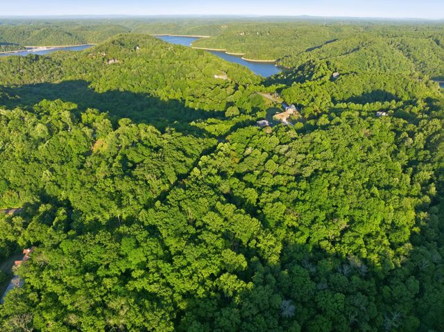 0 Davidson Road, Smithville, TN 37166
