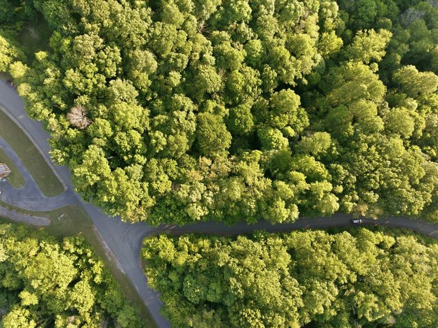 0 Davidson Road, Smithville, TN 37166