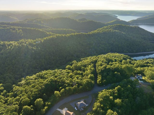 0 Davidson Road, Smithville, TN 37166