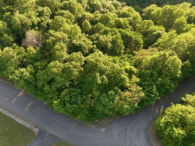 0 Davidson Road, Smithville, TN 37166