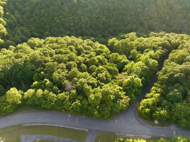 0 Davidson Road, Smithville, TN 37166