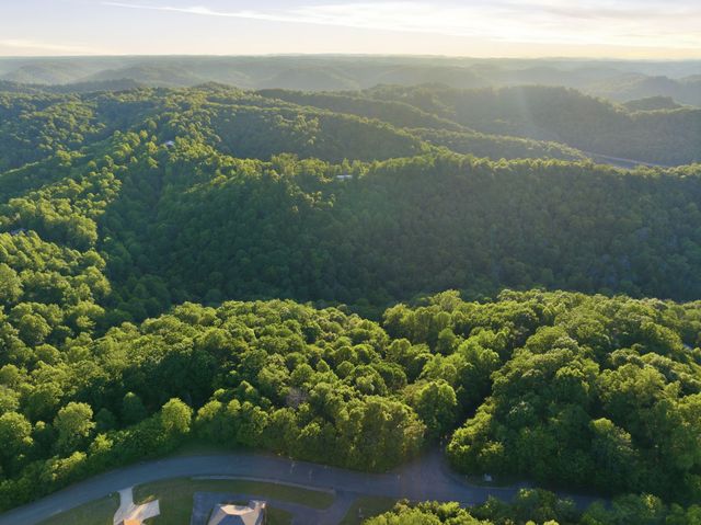0 Davidson Road, Smithville, TN 37166