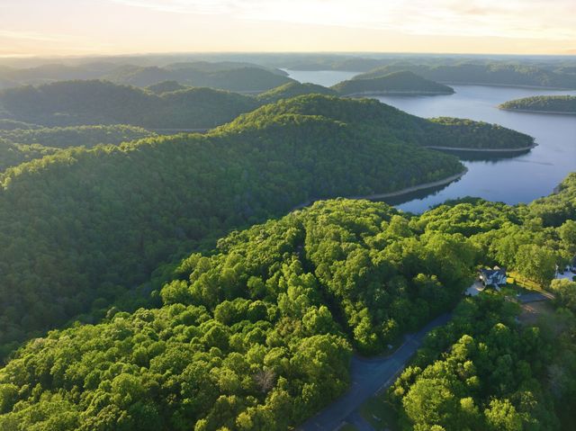 0 Davidson Road, Smithville, TN 37166