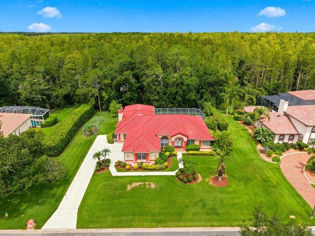 18621 AVENUE CAPRI, Lutz, FL 33558