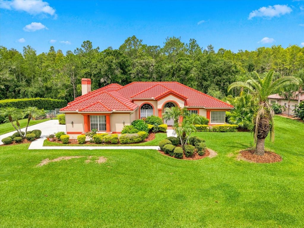 18621 AVENUE CAPRI, Lutz, FL 33558