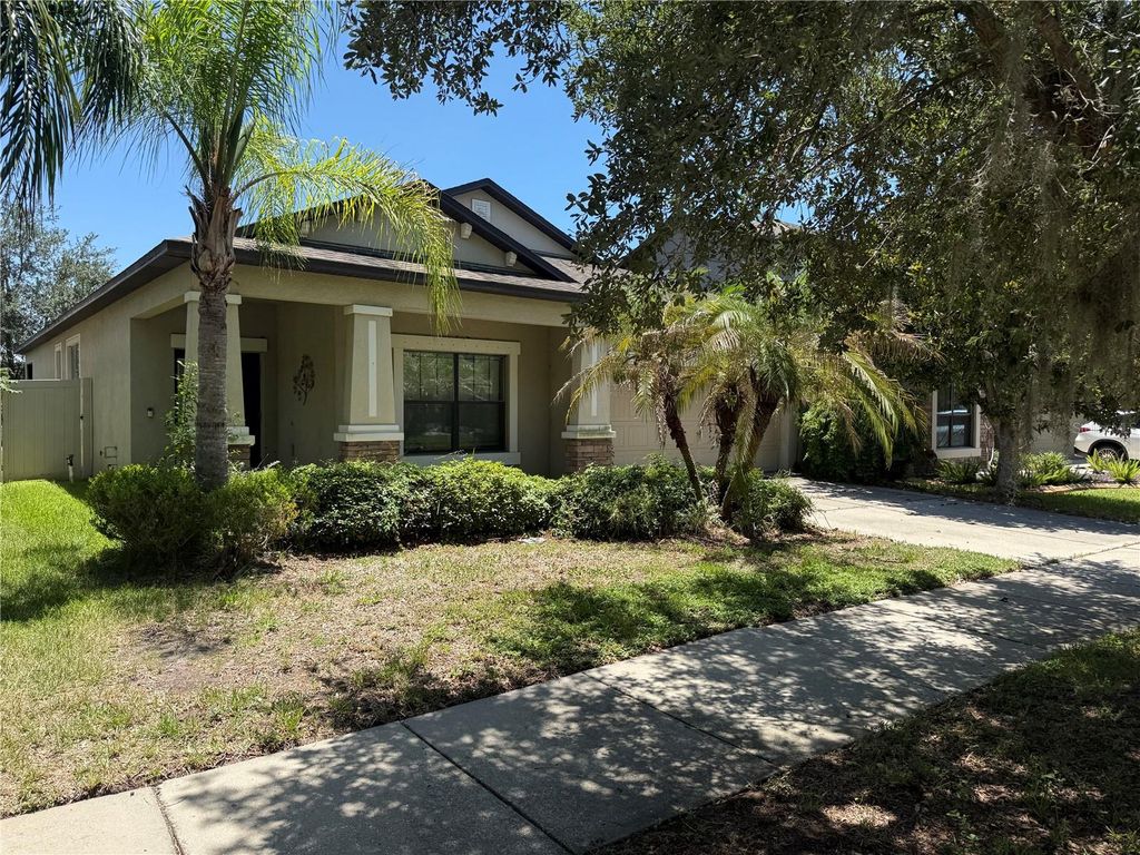 11617 PALMETTO PINE STREET, Riverview, FL 33569