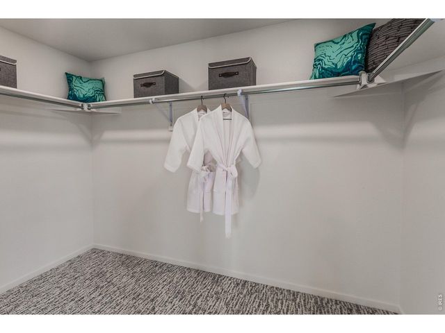 5130 Beckworth St, Timnath, CO 80547