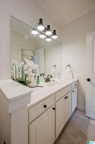 1015 TOWNES COURT, Birmingham, AL 35242