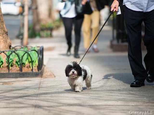 74 Prospect Street 1N, Huntington, NY 11743