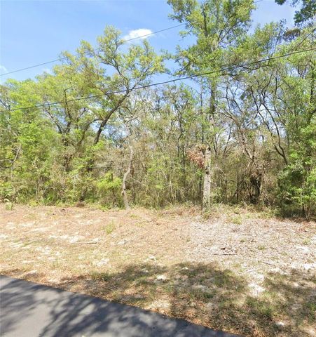 TBD LOCUST TERRACE PLACE, Ocala, FL 34472