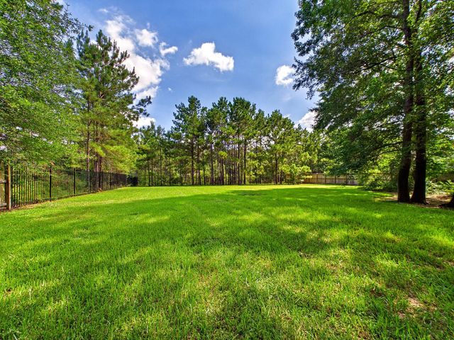 19521 Desna Drive, Porter, TX 77365