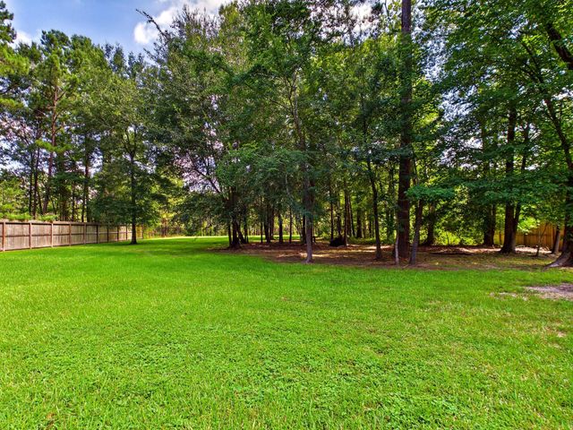 19521 Desna Drive, Porter, TX 77365