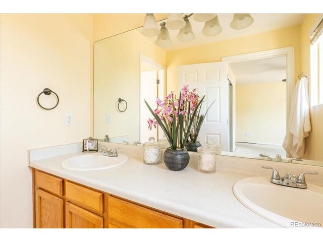 9342 Pony Gulch Way, Colorado Springs, CO 80925