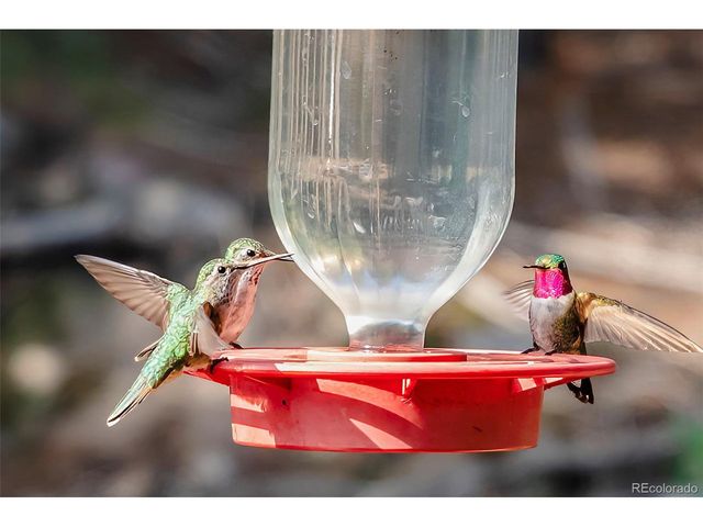 700 Hill St Cir, Boulder, CO 80302