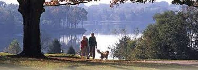 110 Meadowlake Ct, Hendersonville, TN 37075