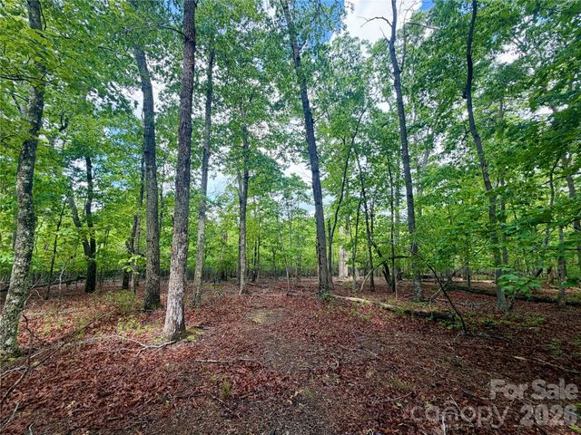 232 Chase Drive, Forest City, NC 28043