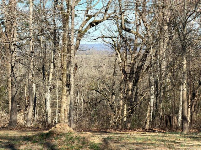 65 Jeffery cutoff, Locust Grove, AR 72550