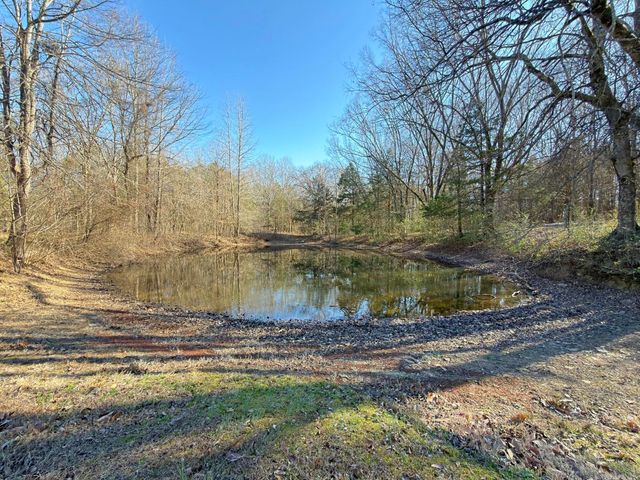 65 Jeffery cutoff, Locust Grove, AR 72550