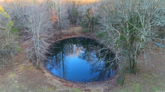 65 Jeffery cutoff, Locust Grove, AR 72550