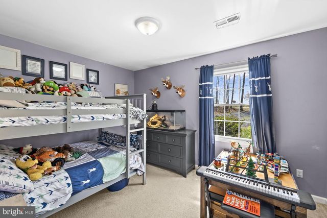 8343 WILDERNESS WOODS LN, Rhoadesville, VA 22542
