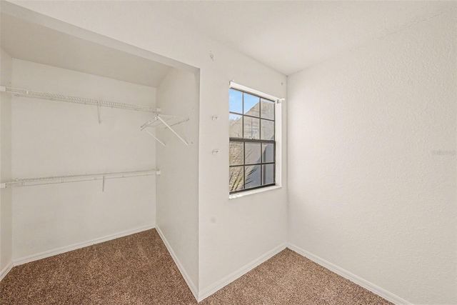 4207 BRENTWOOD PARK CIRCLE, Tampa, FL 33624