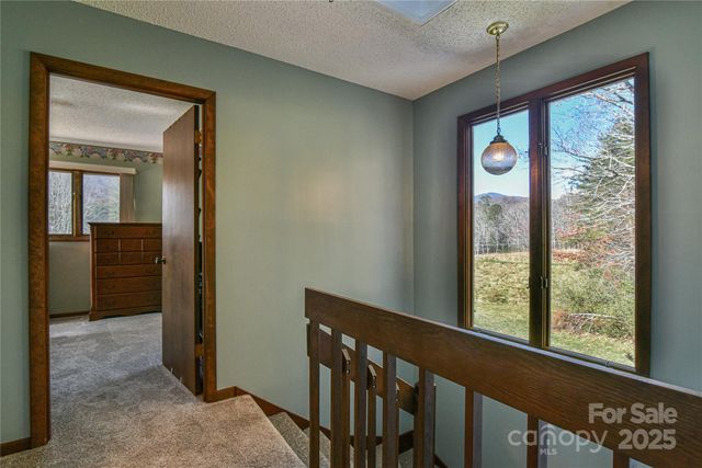 1 Lynx Drive C-1, Black Mountain, NC 28711