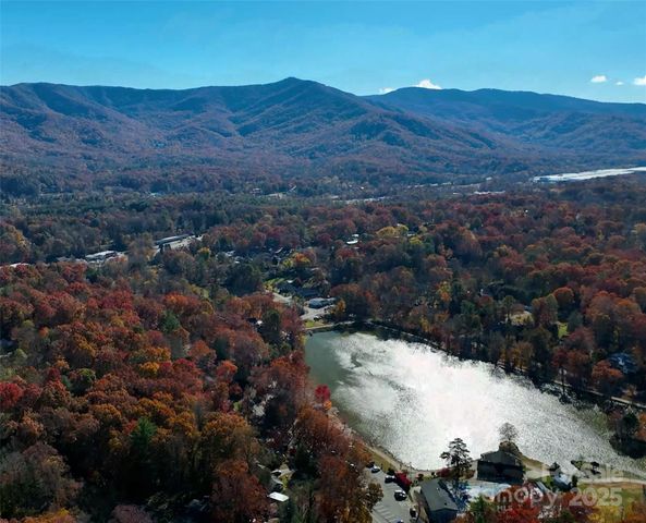 1 Lynx Drive C-1, Black Mountain, NC 28711
