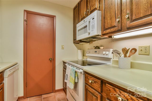 1 Lynx Drive C-1, Black Mountain, NC 28711