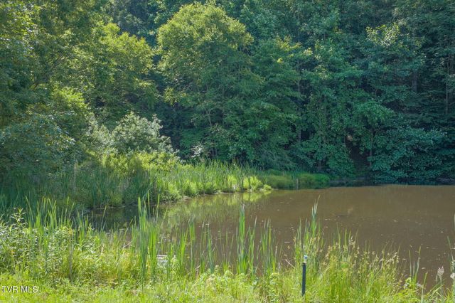 120 Teaberry Road, Roan Mountain, TN 37687
