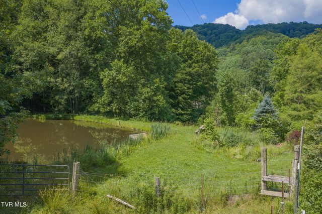 120 Teaberry Road, Roan Mountain, TN 37687