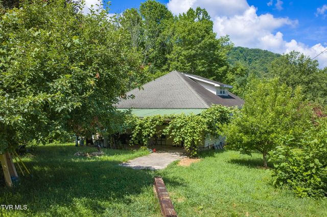 120 Teaberry Road, Roan Mountain, TN 37687