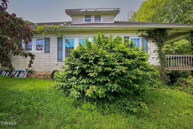 120 Teaberry Road, Roan Mountain, TN 37687