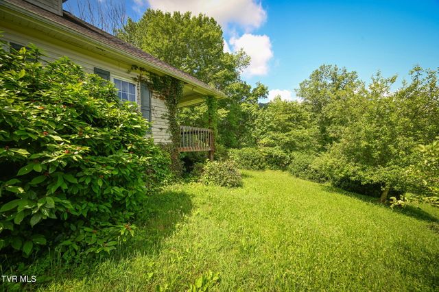 120 Teaberry Road, Roan Mountain, TN 37687