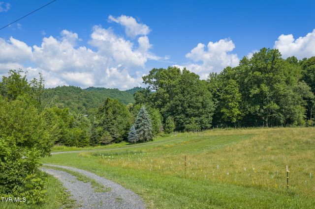 120 Teaberry Road, Roan Mountain, TN 37687