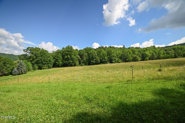 120 Teaberry Road, Roan Mountain, TN 37687