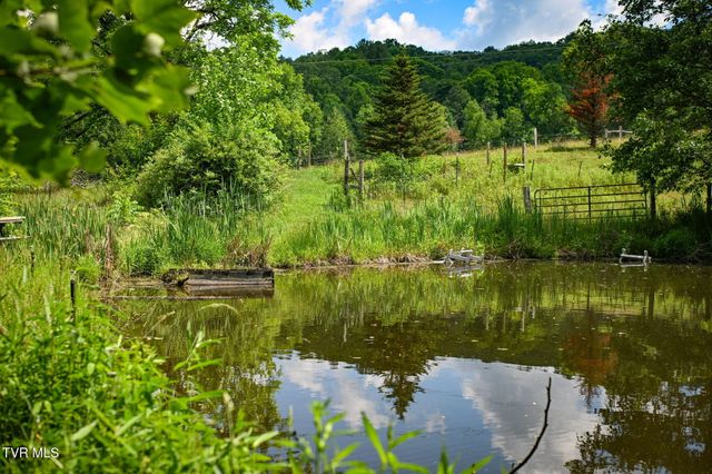 120 Teaberry Road, Roan Mountain, TN 37687