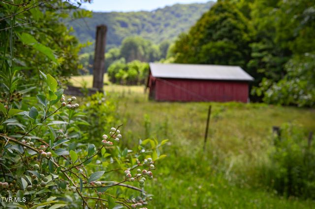120 Teaberry Road, Roan Mountain, TN 37687