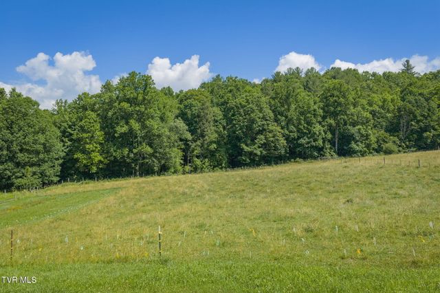120 Teaberry Road, Roan Mountain, TN 37687